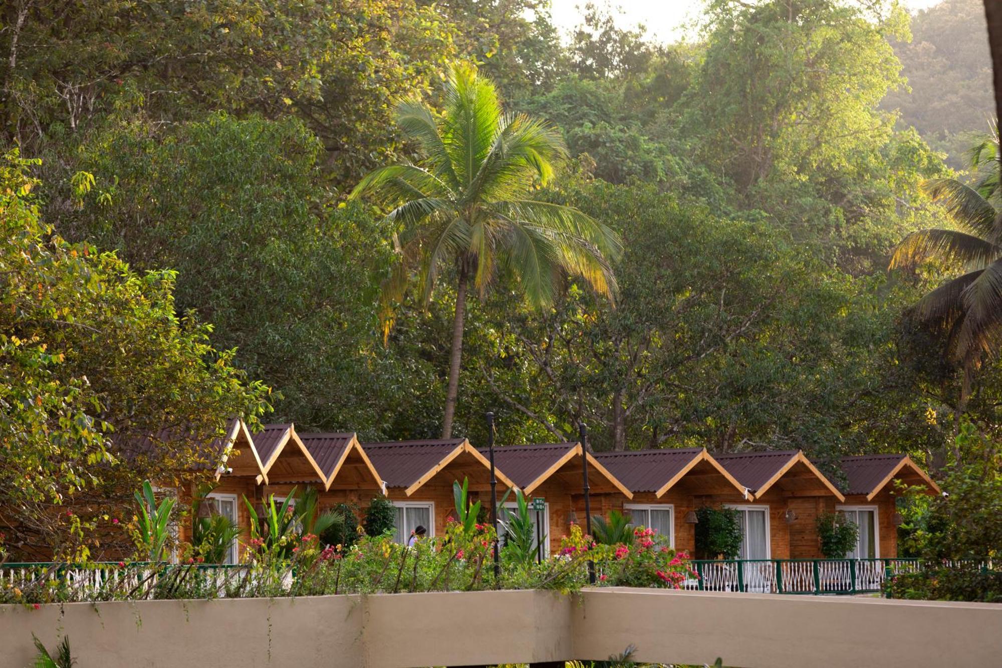 Stone Wood Premier 3* Dandeli